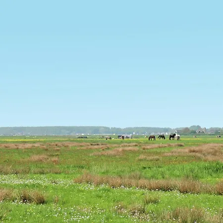 Bungalow * Μπέργκεν